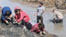 Tang and Song Dynasty
          Coins Dug Up in Yancheng